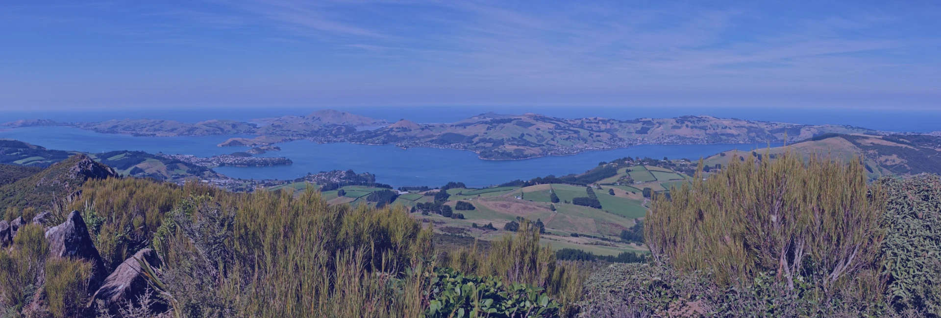 New Zealand
